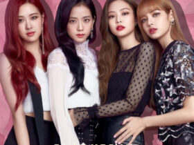 Blackpink Whatsapp Status Video
