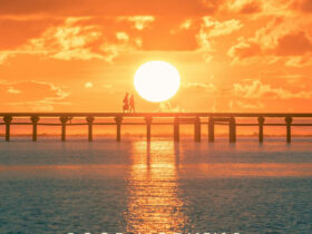 Good Morning Whatsapp Status Video