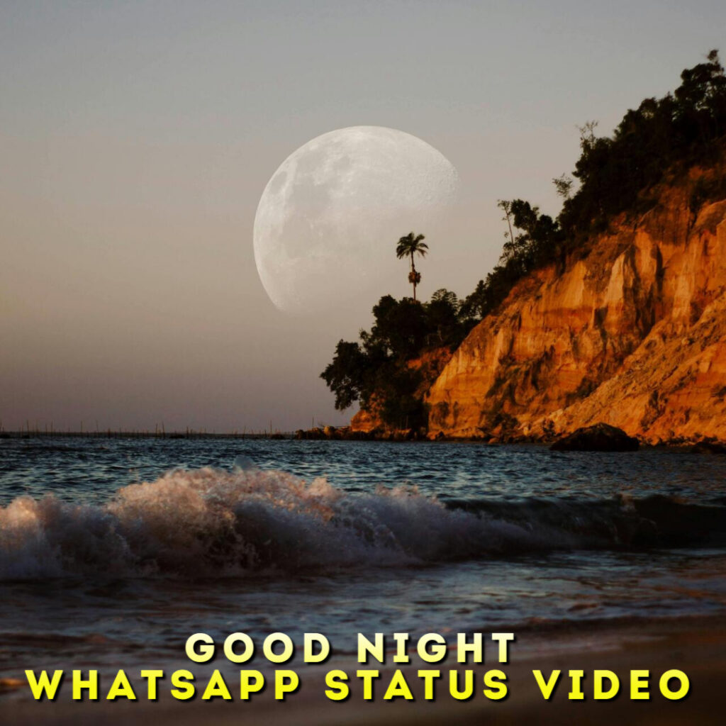 Good Night Whatsapp Status Video