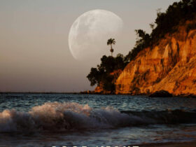 Good Night Whatsapp Status Video